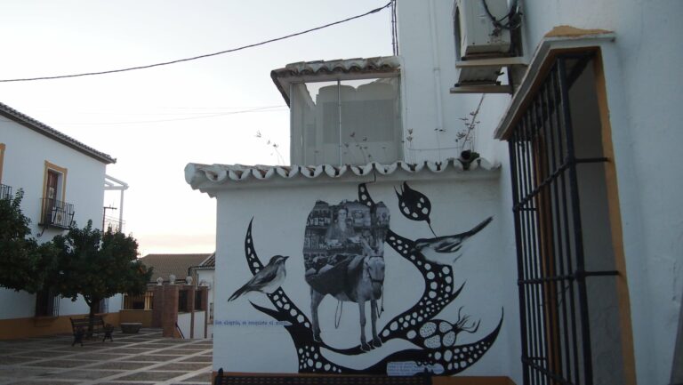 124038847_4660669817339301_7627208303450964569_n