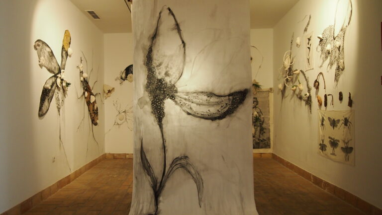 artistaplastica